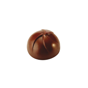 MOLDE PRALINE INNOVATION 275X135MM Ø30x18 PC09FR