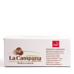 AVELLANAS S/CASCARA 15+ CHILE PREMIUM X 10 KG